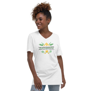 Jane Eyre Short Sleeve V-Neck T-Shirt